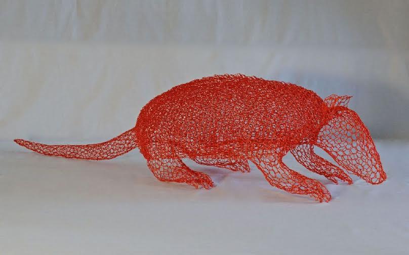 Asta Trust The Forest